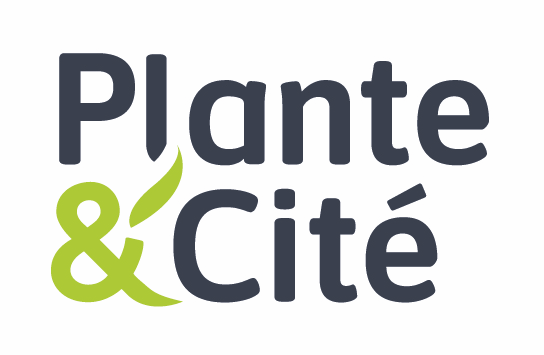 Logo P&C