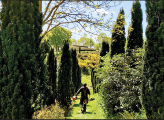 Domaine de La Roche Jagu, labellisé EcoJardin - crédit : Glenn Gilbert-Briand, éco-jardinier.