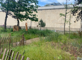 Hôpital Saint Anne 2025 Arp Astrance 