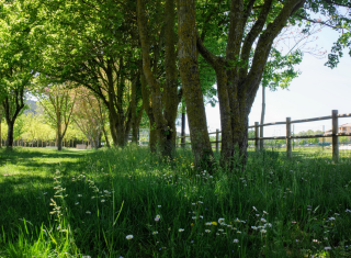 Parc Christine Bernard, labellisé à la 1ere session 2019. Crédit : Alticime