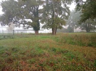 Aménagement des placettes par la tonte pour crée des poses dans le cheminement (future projet)