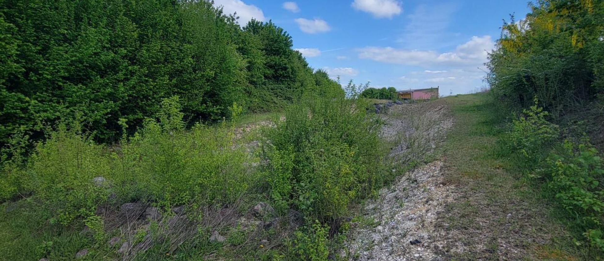 Noue d'infiltration présente sur le site