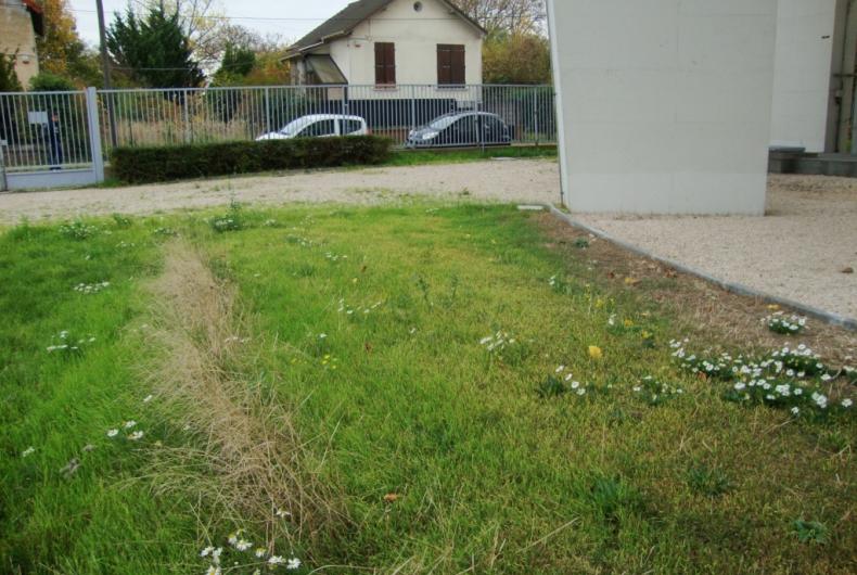 1_VeoliaEauIDF-Site_Montfermeil%C2%A9HelloFlore_2015.JPG