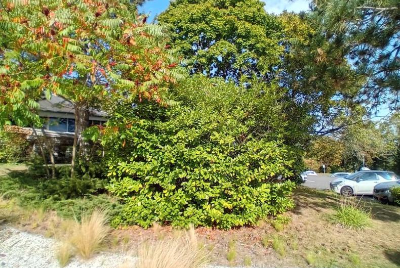 Belambra_Dourcan©Arp-Astrance_2023 (4).jpg