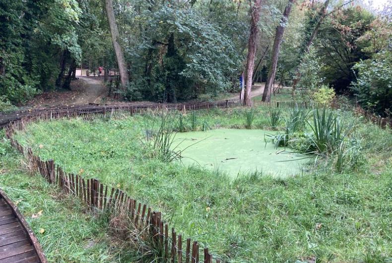 Bois_Aurore_Antony©Arp-Astrance_2023 (1).JPG