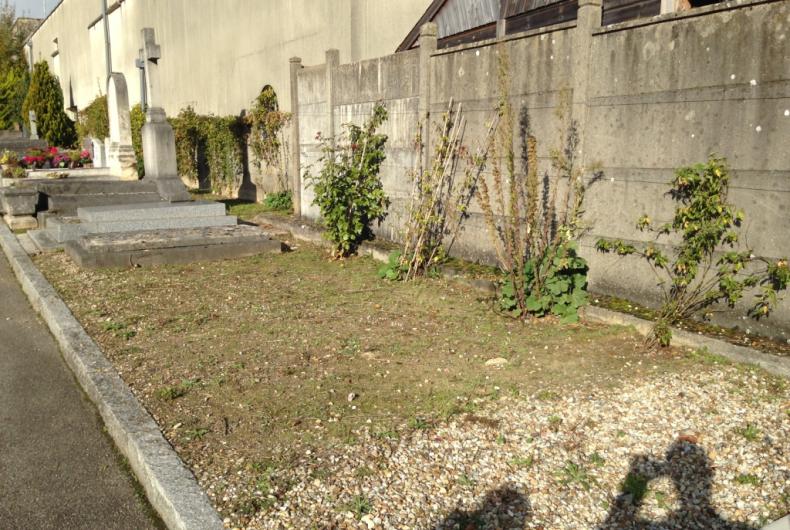 Cimetiere_Montreuil-Versailles%C2%A9Gondwana_2016%20%2810%29.JPG