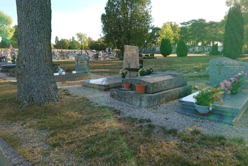 Cimetiere_Pejoces_Dijon%C2%A9Agrostis_2018%20%284%29.jpg