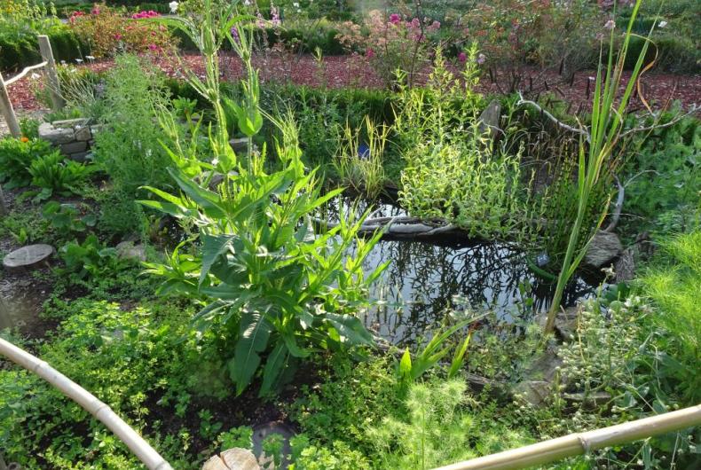 DOMAINE DE LACROIX LAVAL METROPOLE DE LYON @BRASSICA_2024 (5).JPG