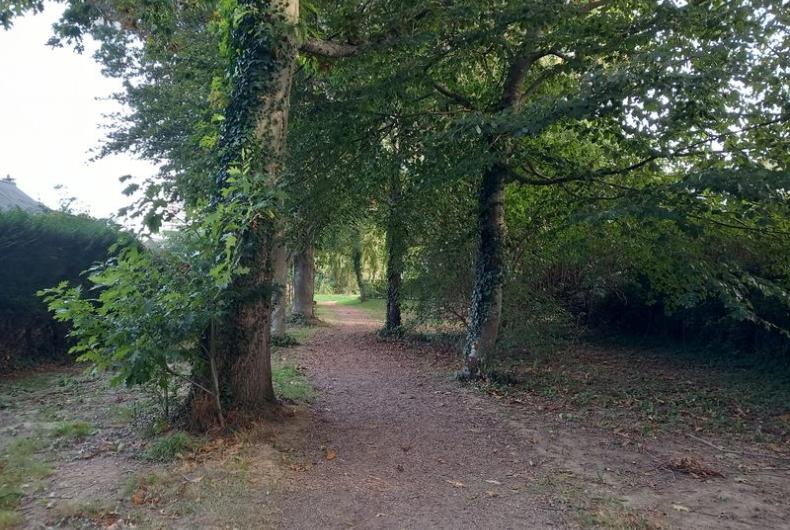 EV_accompagnement_Q11_Rennes©Arp-Astrance_2023 (1).jpg