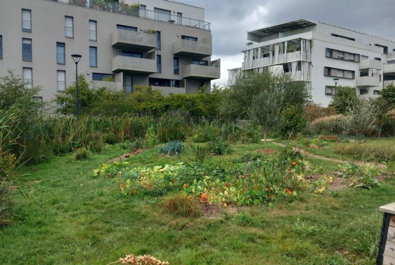 EV_accompagnement_Q4_Rennes©Arp-Astrance_2023 (1).jpg