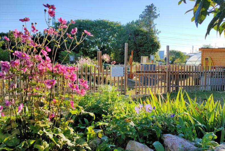 Ecolotheque_MMM©Oreade-Breche_2021 (3).jpg