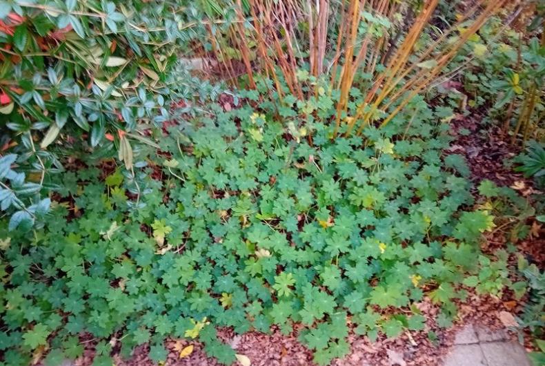 Espace_Deco©Arp-Astrance_2023 (3).jpg