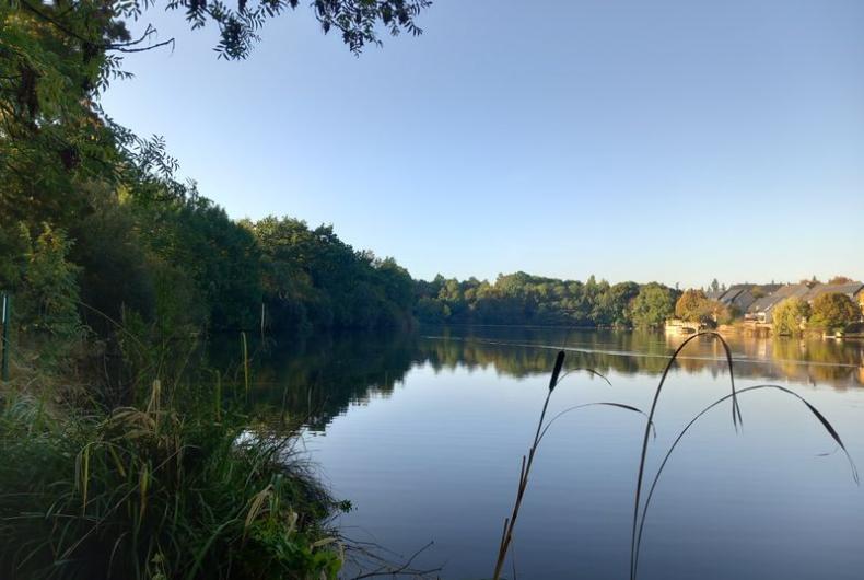 Etang_Longs_Champs_Rennes©Arp-Astrance_2023 (1).jpg