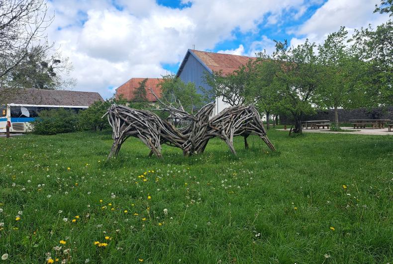 FermeCourbet-25 (1).jpg