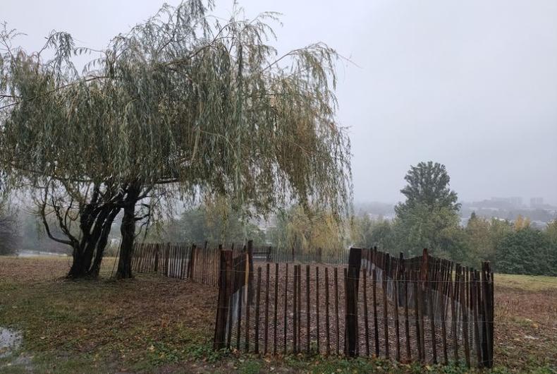 Franges_Vertes_Seyssins_GAM©Alticime_2023 (2).jpg