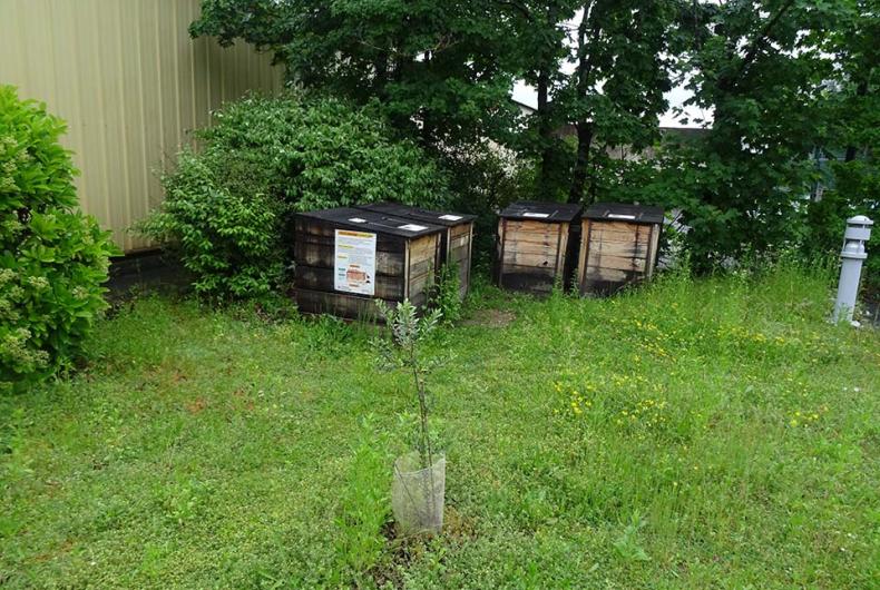 Gustave_Eiffel_2024 (1).jpg