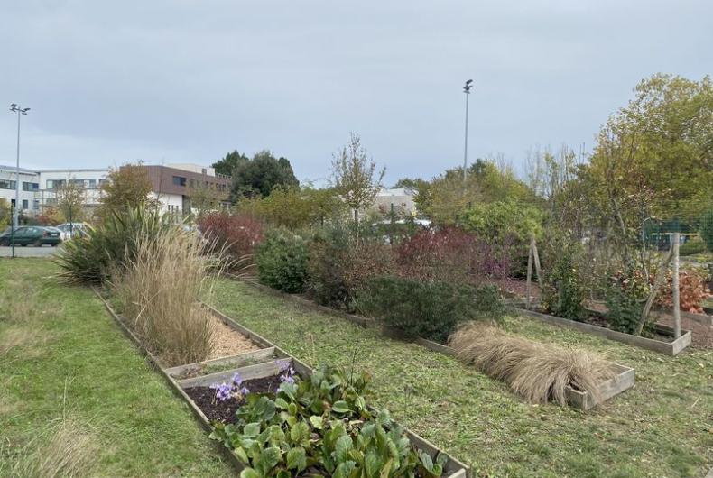 Jardin_Maison_Vegetal_Plante_&amp;amp;_Cite©Arp-Astrance_2022 (1).JPG