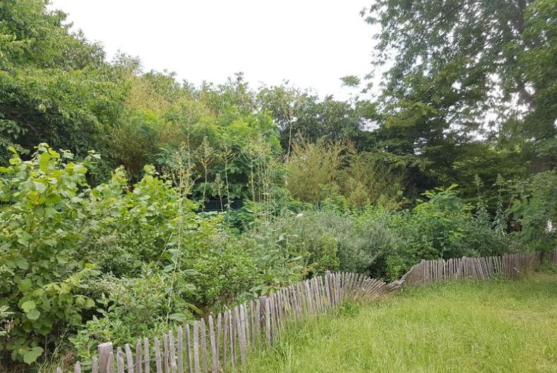 Jardin_Observatoire_Paris©Arp-Astrance_2020 (11).jpg