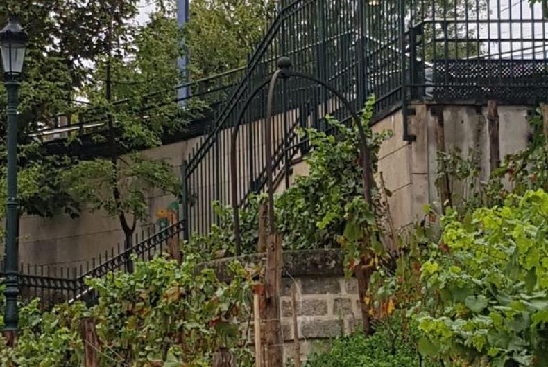 Jardin_Vignes_Puteaux©Arp-Astrance_2020 (1).jpg