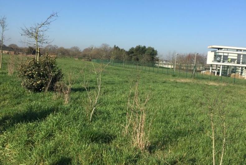 La_Prevalaye_Rennes©Arp-Astrance_2019 (2).JPG