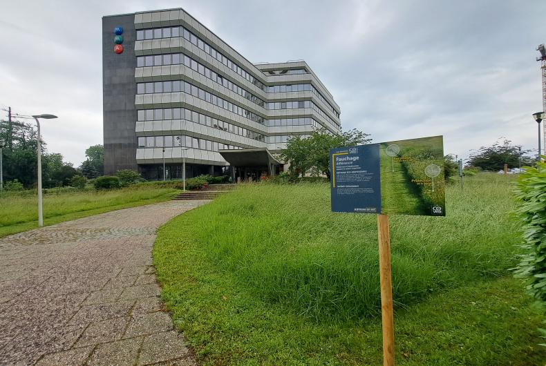 MMaStrasbourg-Urbanesens2024 (1).jpg