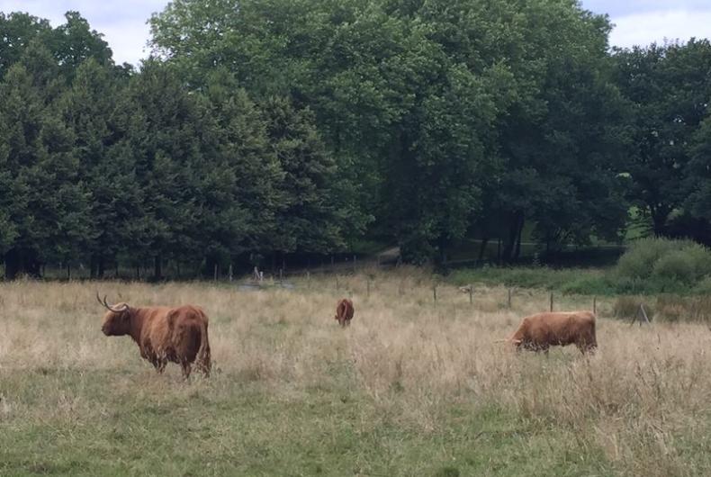 Manoir_Kernault_CDF©Arp-Astrance_2020 (7).JPG