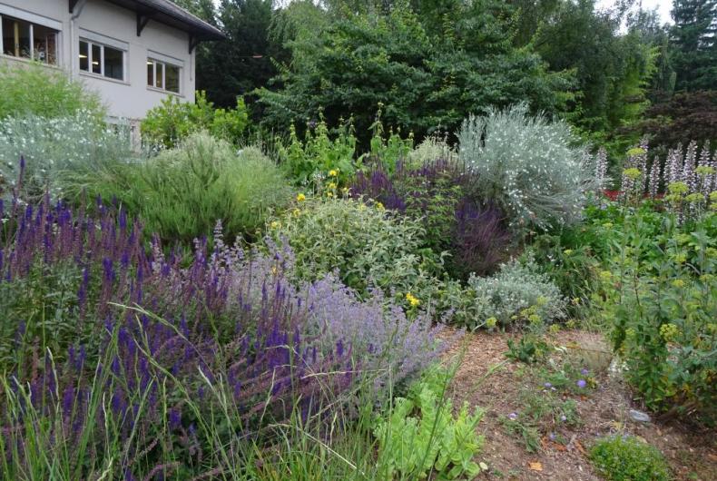 PARC DE LA TETE D&amp;#039;OR NORD LYON @BRASSICA_2024 (2)_0.JPG