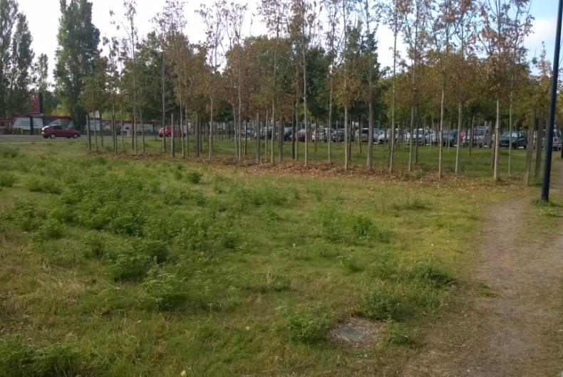 Parc_Angeliques-Bordeaux%C2%A9Oreade-Breche_2016%20%284%29.jpg
