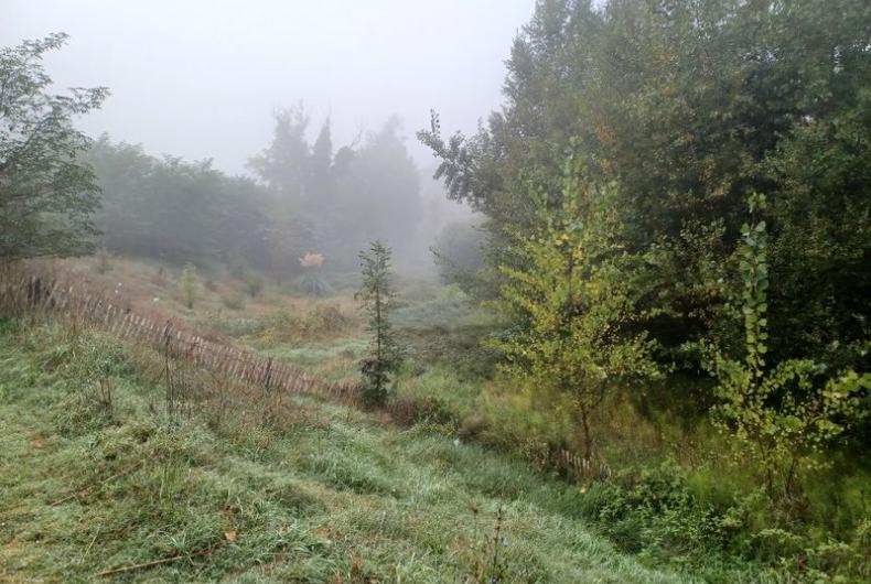 Parc_Ausone_Bordeaux-Metro©HederaVilleDurable_2023 (1).jpg