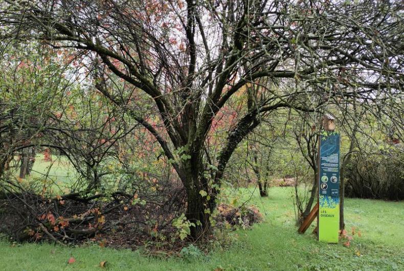 Parc_Champs_Elysees_Grenoble©Alticime_2023 (1).jpg