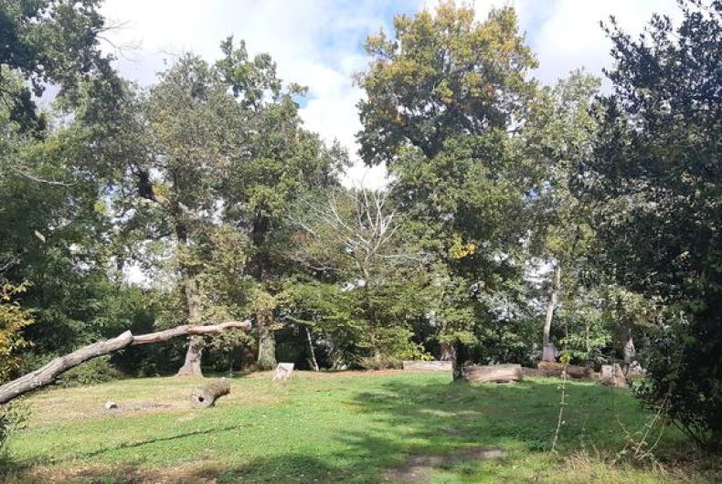 Parc_Cypressat_Cenon©OreadeBreche_2021 (1).jpg