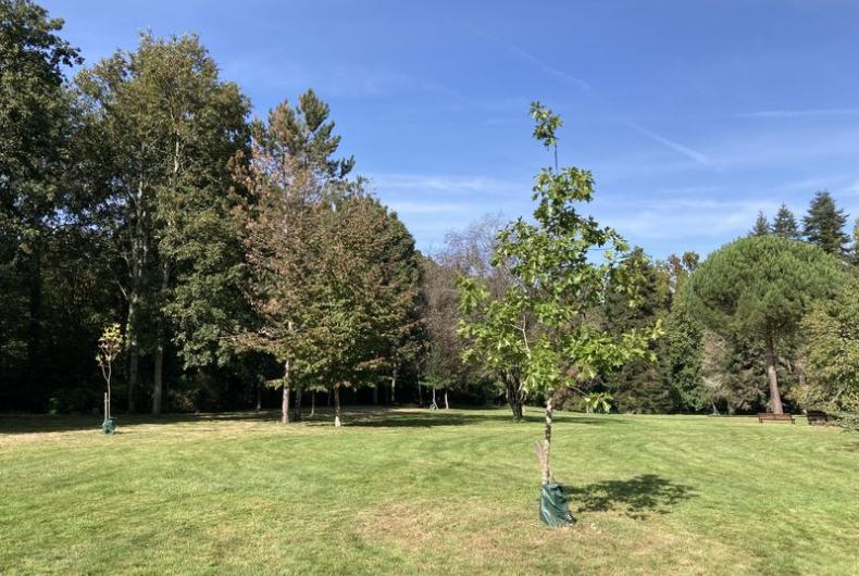 Parc_Gaudiniere_Nantes©Arp-Astrance_2023 (2).JPG