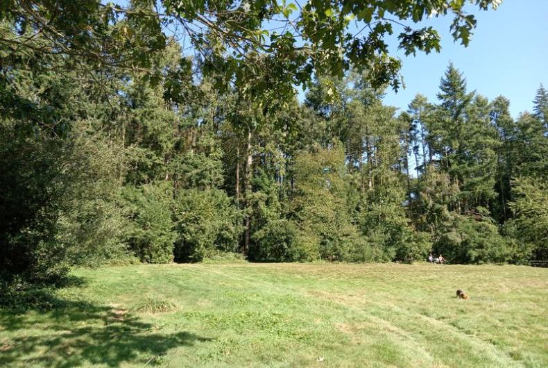 Parc_Gayeulles_Rennes©Arp-Astrance_2023 (1).jpg