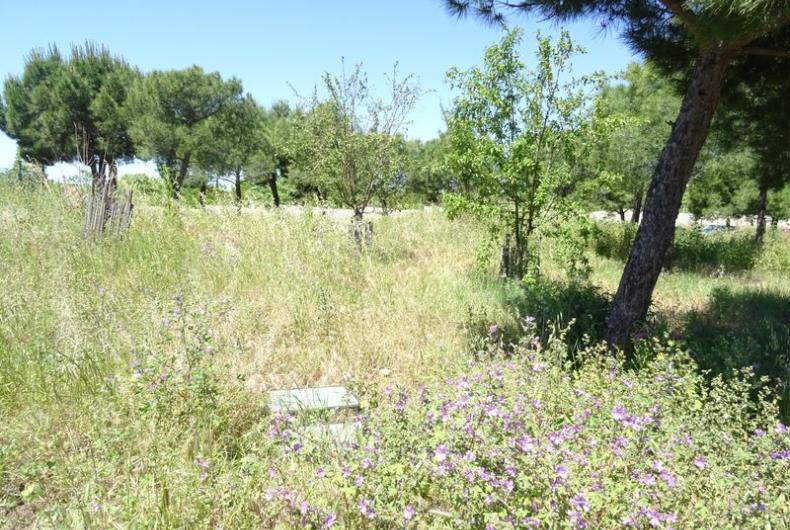 Parc_Moline_Marseille©Brassica_2021 (2).JPG