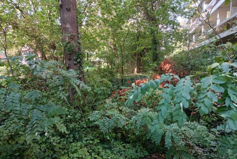 Parc_Offenbach_Puteaux©Arp-Astrance_2023 (9).jpg