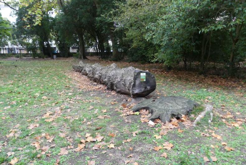 Parc_Sophie_Desmarets_Montpellier©Oreade-Breche_2020 (4).JPG