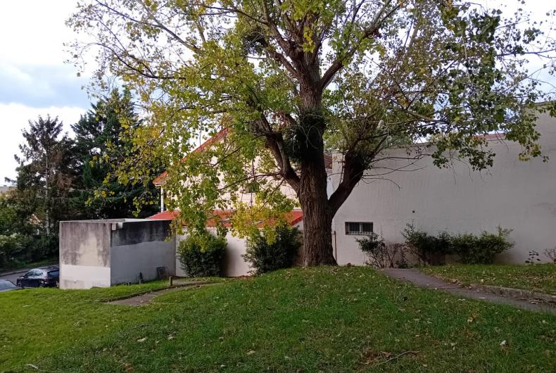 Renouilleres_Batigere-idf©Arp-Astrance_2023 (3).jpeg