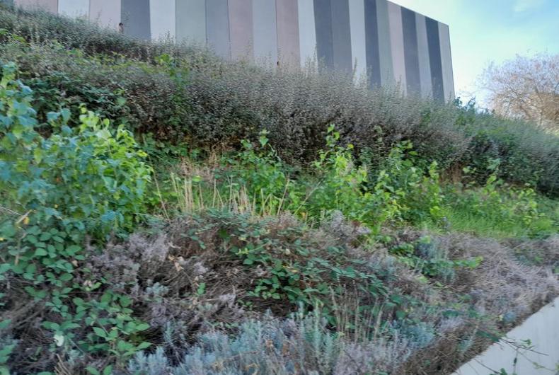 Reservoirs_Villejuif_Veolia_Eau-idf©Arp-Astrance_2023 (1).jpg