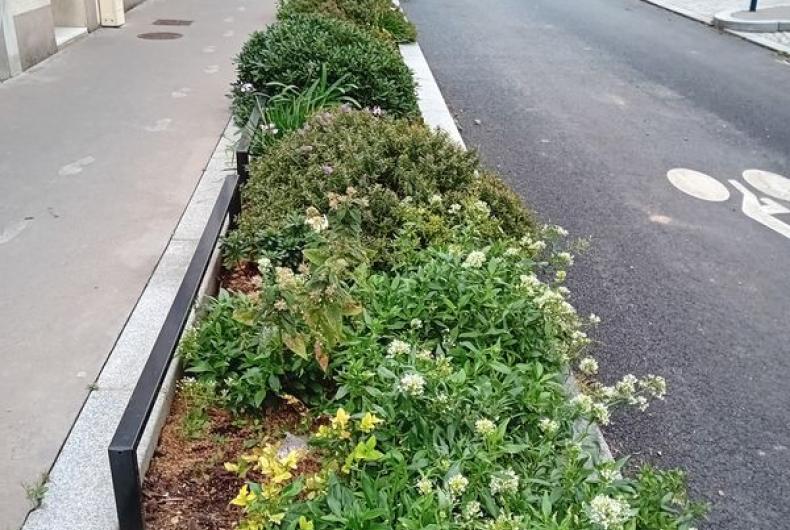 Rue_Lepine_Pantin©Arp-Astrance_2023 (1).jpg