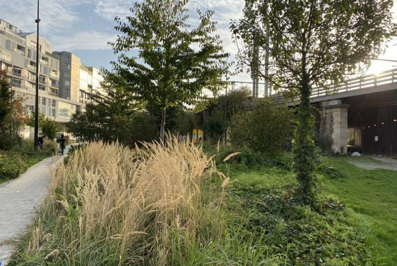 SS_Cambrai_Paris©Arp-Astrance_2022 (1).JPG