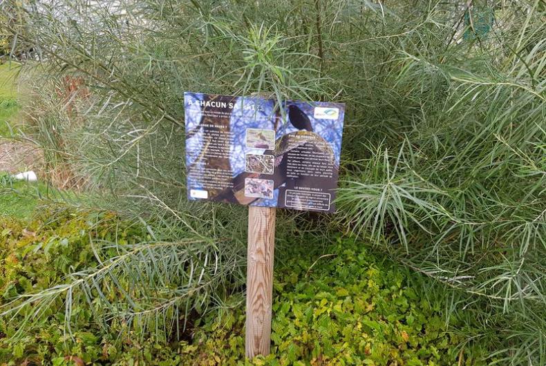 Sevran_3ha_Batigere-idf©Arp-Astrance_2019 (3).jpg