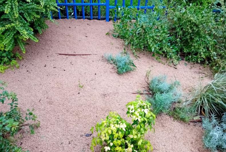 Square_Formagne_Pantin©Arp-Astrance_2023 (1).jpg