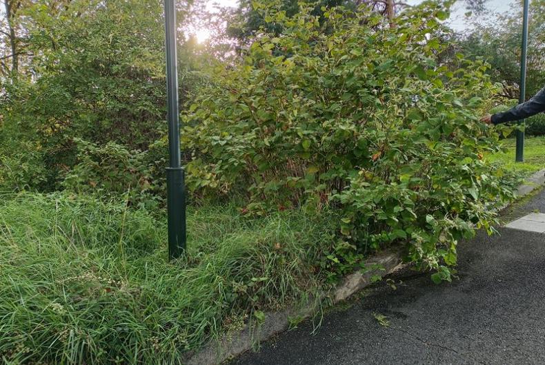 Square_Kupka_Puteaux©Arp-Astrance_2023 (11).jpg