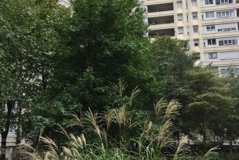 Square_Rgnault_ParisLaDefense©Arp-Astrance_2022 (1).JPG