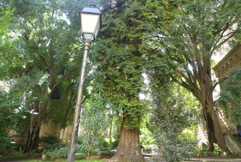 Square_Tour_Pins_Montpellier©Oreade-Breche_2020 (3).JPG