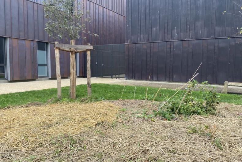 Universite_ANgers©Arp-Astrance_2022 (1).JPG