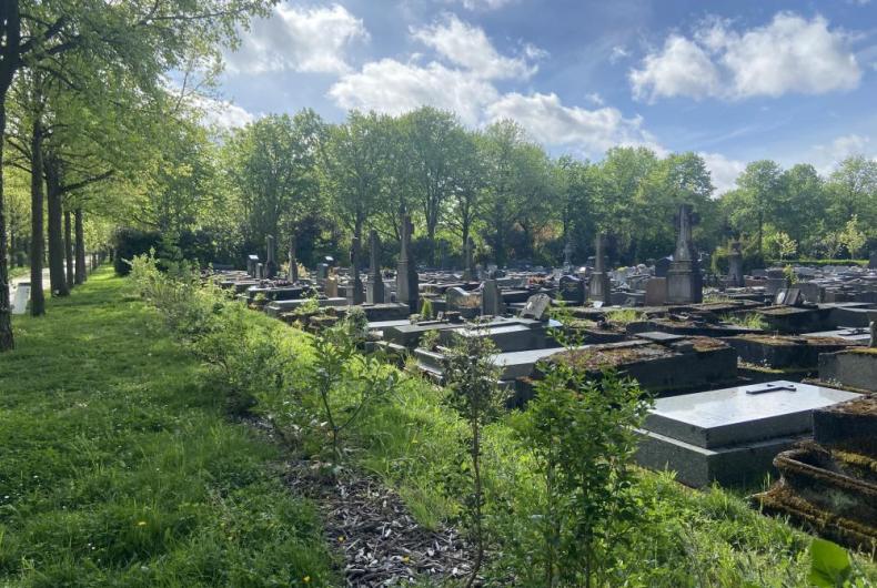 CIMETIERE DE BAGNEUX, VILLE DE PARIS @ARP ASTRANCE_2025 (14).JPEG