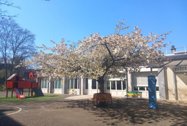 ECOLE COCHENNEC, VILLE DE PANTIN, @ARP ASTRANCE 2025 (2).jpg