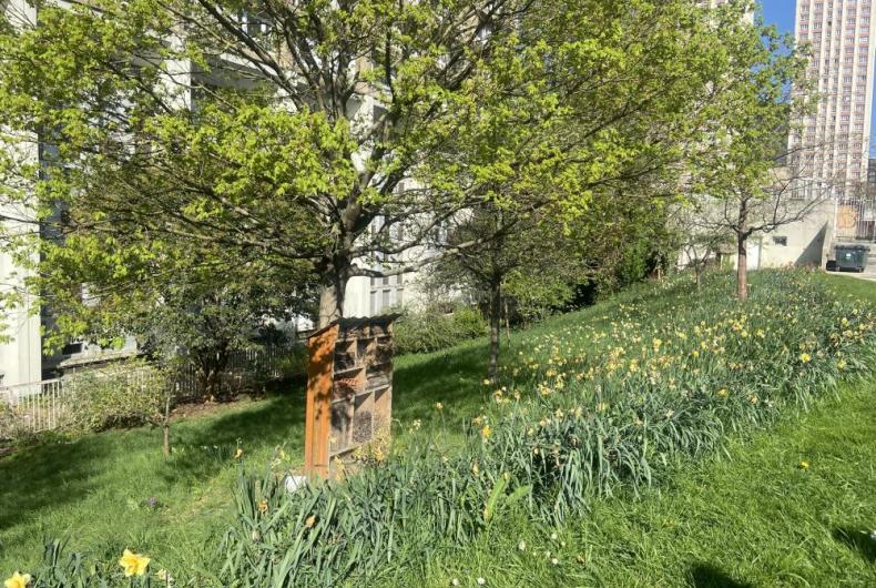 SS BAUDRICOURT, VILLE DE PARIS @ARP ASTRANCE_2025 (12).JPEG