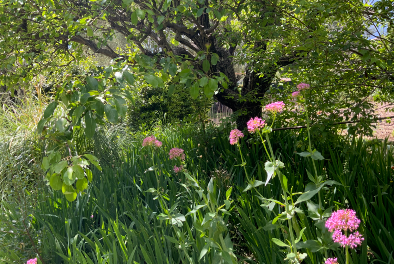 Domaine Des Colettes, Musée Renoir, Cagnes-sur-Mer / crédit : Alticime